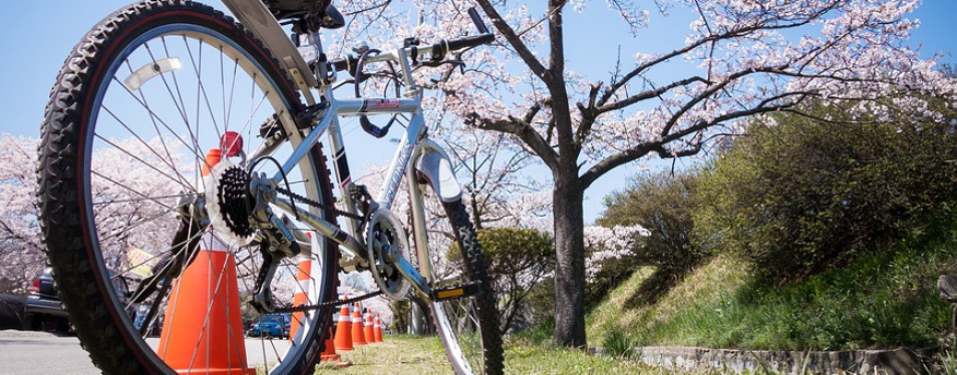 Fit für den Frühling! Fahrrad reinigen