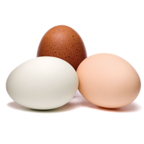 Geben Sie niemals Eier in Ihre Mikrowelle Was Sie niemals in Ihre Mikrowelle geben dürfen